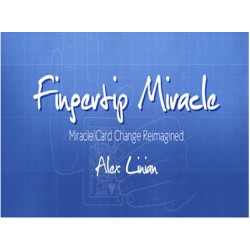 2015  Fingertip Miracle by Alex Linian