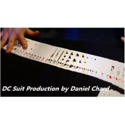 2015  DC Suit Production by Daniel Chard