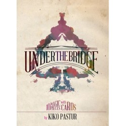 2015  Under The Bridge by Kiko Pastur