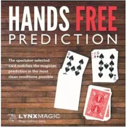 2015  Hands Free Prediction by Lynx Magic