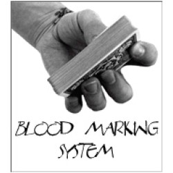Daniel Madison - The Blood Marking System