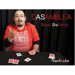 2015 Dasamblea (Dassembly) by Dani DaOrtiz