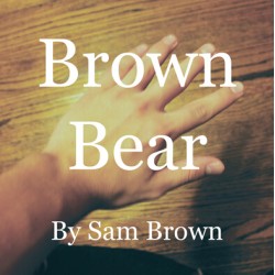 Brown Bear by Sam Brown