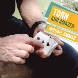 Torn and Amazed by Michael Ammar
