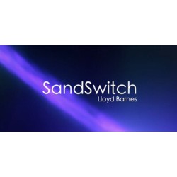 2014  SandSwitch by Lloyd Barnes