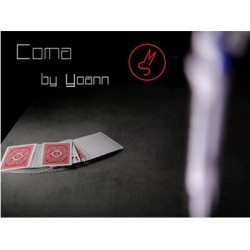 2014  Coma by Yoann.F