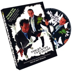 Taming Training & Tricks by Chet & Dave Womach