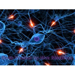 Brain Washer by Alvo Stockman