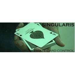 Singularis By Vivek Singhi
