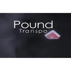 Pound Transpo by Nicholas Lawrence