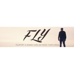 2015 Fly by Geraint Clarke