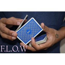 F.L.O.W by Vivek Singhi