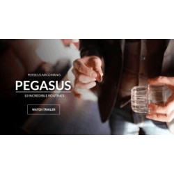 Pegasus by Perseus Arkomanis