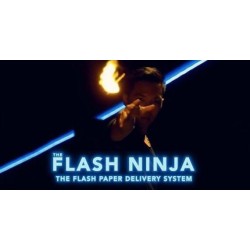 Flash Ninja by Terry Cheung