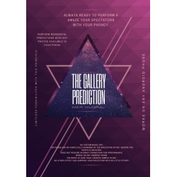 The Gallery Prediction by Amir Mughal