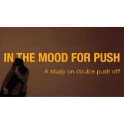 In The Mood For Push by Lidden Li