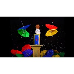 Umbrella Production Box