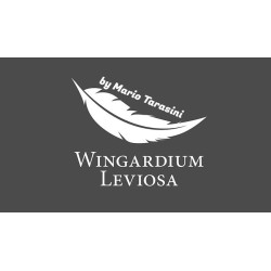 Wingardium Leviosa by Mario Tarasini