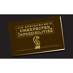 Unexpected Impuzzibilities by Jim Steinmeyer