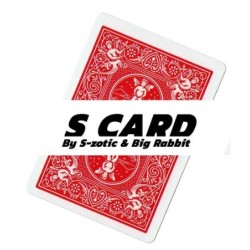 S Card - S-ZOTIC & BIG RABBIT