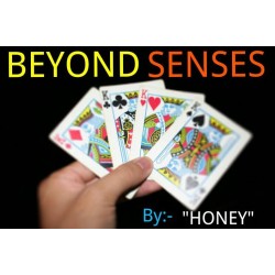 Beyond senses by HONEY ( JASMIT )