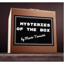 Mysteries of the Box by Mario Tarasini