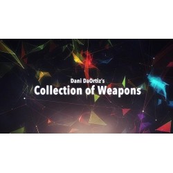 Dani's Collection of Weapons by Dani DaOrtiz