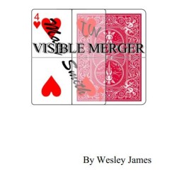 Visible Merger