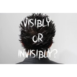Visibly or Invisibly by Emerson Rodrigues