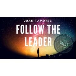 Follow the Leader by Juan Tamariz