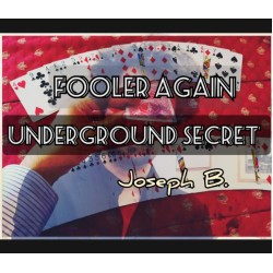 FOOLER AGAIN by Joseph B.