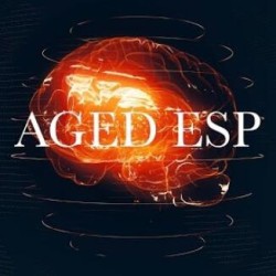 Aged ESP by Peter Nardi