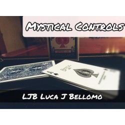 NEW CONTROLS PROJECT - Mystical Controls By LJB