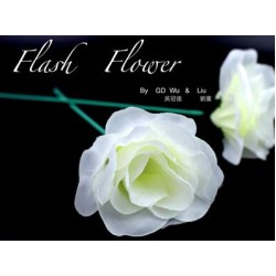White Flash Flower by GD Wu