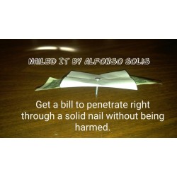 Nailed It By Alfonso Solis