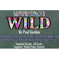 Surprisingly Wild by Paul Gordon