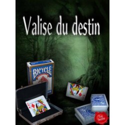 Valise du Destin