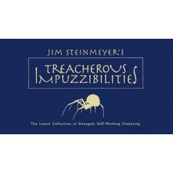 Treacherous Impuzzibilities by Jim Steinmeyer