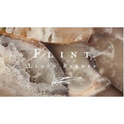 Flint by Lloyd Barnes