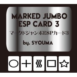 Marked Jumbo ESP Cards by Tejinaya