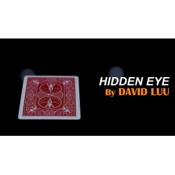 Hidden Eye by David Luu