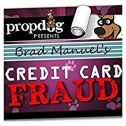 Credit Card Fraud by Brad Manuel