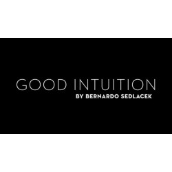 Good Intuition by Bernard Sedlacek