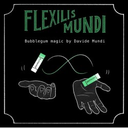 Flexilis Mundi by Davide Mundi