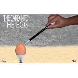 THE CARD INTO THE EGG by Alan