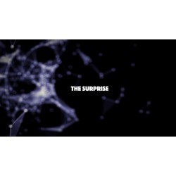 The Surprise by Think Nguyen