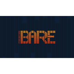 Bare Mini by The Other Brothers