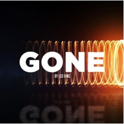 GONE by Leo Xing