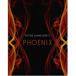 Phoenix by Petert Samelson