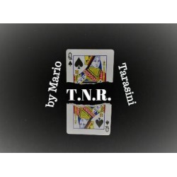 T.N.R. by Mario Tarasini